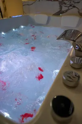 Plan de l'établissement Appartement d'exception avec Jacuzzi