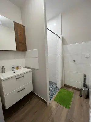 Salle de bains dans l'établissement Appartement rénové à 15 min de Lyon