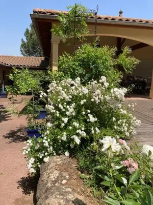 Jardin de l'établissement CHAMBRES DES EAUX 29 