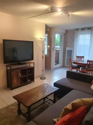Télévision ou salle de divertissement dans l'établissement Lyon 8 Grange Blanche Appartement calme de 50 m²