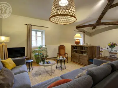 Télévision ou salle de divertissement dans l'établissement Gîte historique avec Wi-Fi et animaux acceptés à Sainte-Croix-en-Jarez - FR-1-496-275