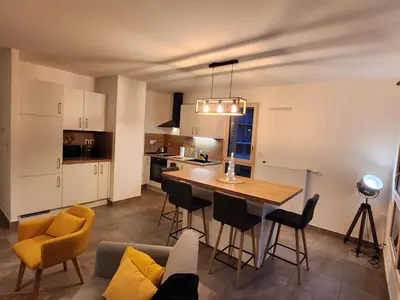 Cuisine ou kitchenette dans l'établissement Lyon Part-Dieu superbe appartement 2 chambres