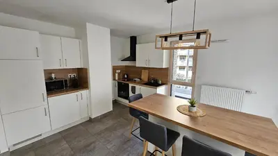 Cuisine ou kitchenette dans l'établissement Lyon Part-Dieu superbe appartement 2 chambres