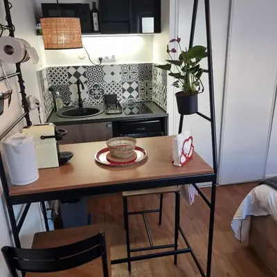 Cuisine ou kitchenette dans l'établissement Lyon Montchat Villeurbanne Studio refait à neuf climatisation et parking privé
