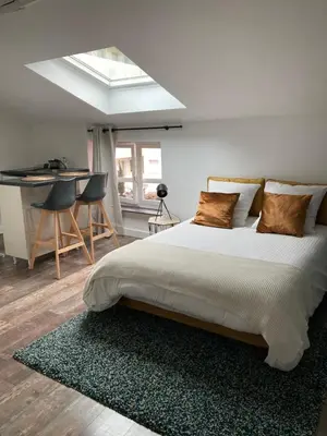 Un ou plusieurs lits dans un hébergement de l'établissement Studio cocooning et refait à neuf. Lyon 06