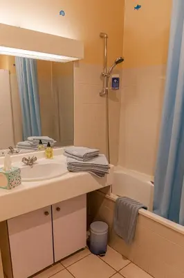 Salle de bains dans l'établissement Parc Blandan - T2 calme lumineux et bien situé.