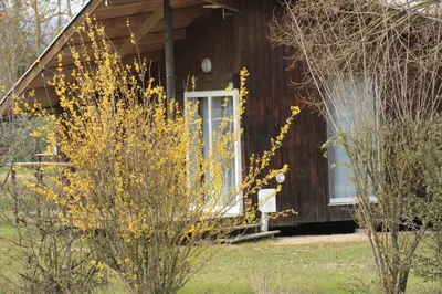 Jardin de l'établissement CAMPING DE LA CHALARONNE