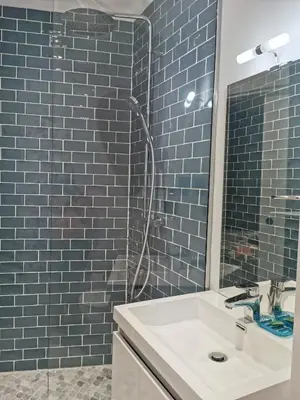 Salle de bains dans l'établissement Chambre meublée indépendante