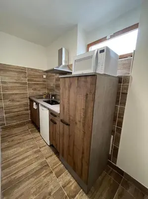 Cuisine ou kitchenette dans l'établissement Superbe appartement à 15 min de Lyon