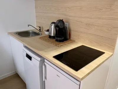 Cuisine ou kitchenette dans l'établissement Charmant appartement au cœur de Neuville - Lyon à 20mn